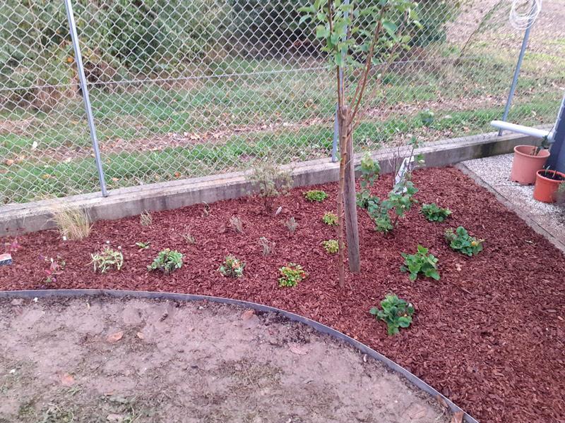 Aiuola a lavoro terminato, visione in lunghezza - Natura in Opera - Giardiniere Virgilio Pez